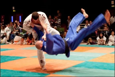 Comment dit-on "sport de combat" ?