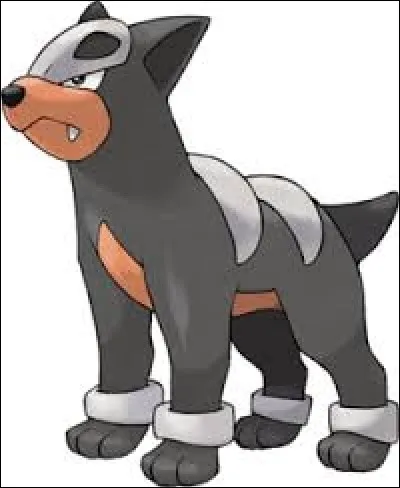 Quel est ce Pokémon ?