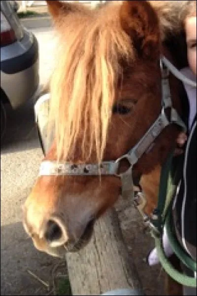 Quelle est cette robe ?