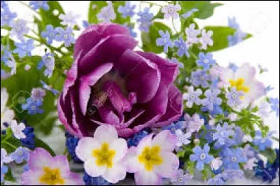 Géant de pierre de l'île de Pâques :