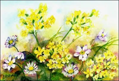 C'est un minéral, une variété d'agate :