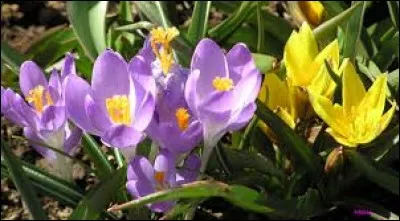 Querelle violente souvent accompagnée de menaces et de coups :