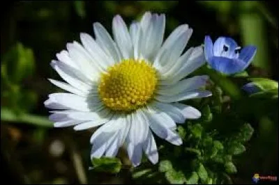 Antonyme de "dénuement, parcimonie" :