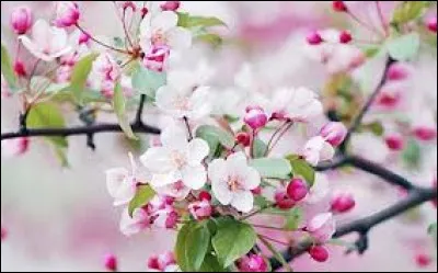 "Avoir son il", c'est avoir une vue très perçante :