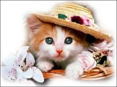 Qu'est-ce qui devient lumière avec le temps ?