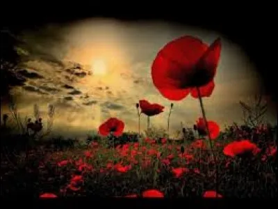 Quand l'espoir et l'espérance font plus que tout en Afghanistan.