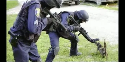 Le cadavre ne semblait pas ...