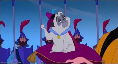 Comment s'appelle ce chien ?