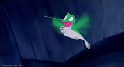 Comment s'appelle son colibri?