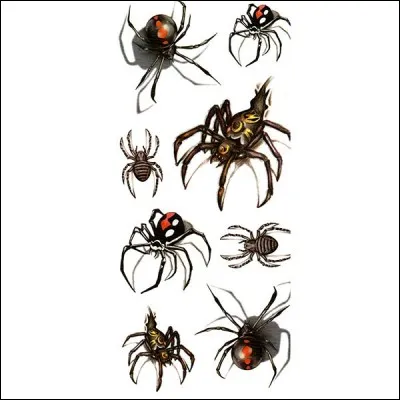 La plupart des araignées sont...?