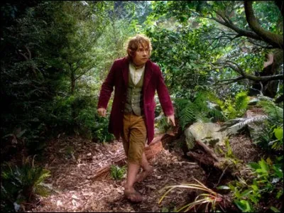 B - "Bilbo Bessac" est le personnage principal du roman "Le Hobbit" de Tolkien.