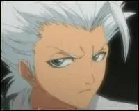Quel est le bankai d'Hytsugaya?