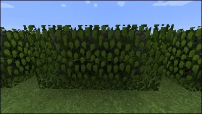 Quel est le bon chemin ?