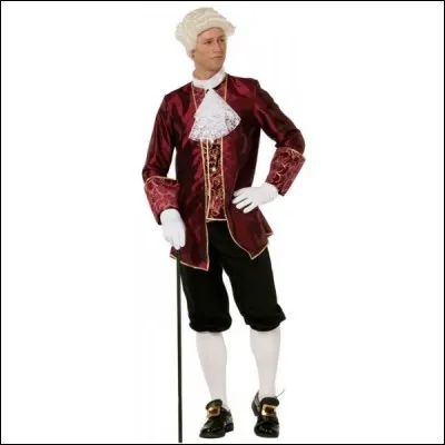 Qu'était un courtisan ?