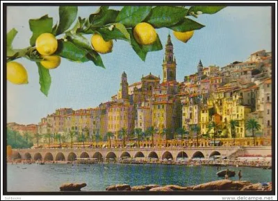 Chers Poucette, James, Manu, Syn, Jeff, Mia, Khadrouni, Azuryne, je viens de visiter la salle des mariages décorée par Cocteau, je passe de belles vacances loin de vous, j'ai raté la fête, mais je vous apporterai quand même des citrons ! Transmettez mon bonjour à tout le monde. Gros bisous de....