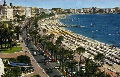 Bien chers tous, je n'ai pas pu dormir au Carlton, c'était complet ! (rire), mais je vous fais partager un festival de rire et de soleil, et je pense à vous en flânant sur La Croisette. Mille bisous de...