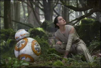 Dans l'épisode VII, quel objet Rey touche-t-elle pour avoir un flashback ?