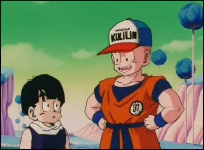 Que donne Vegeta à Son Gohan et à Kuririn en attendant que Dende arrive ?