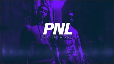 Quel est leur genre musical ?