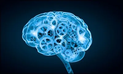 Quel est ton rêve ?