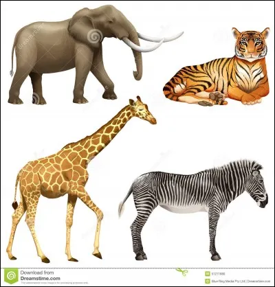 Quel est ton animal préféré au zoo ?