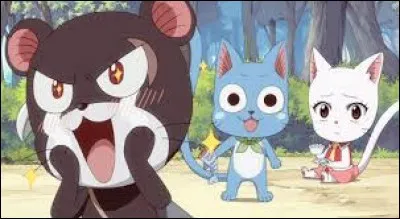 Quel Exceed raffole des kiwis ?