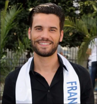 Quelle r&eacute;gion repr&eacute;sente ce sublime et &eacute;l&eacute;gant Mister France 2015 ?