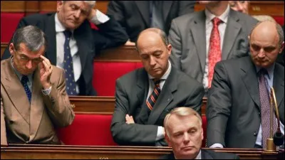 Arbre ornemental, originaire d'Extrême-Orient !