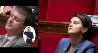 Plante herbacée des Alpes !