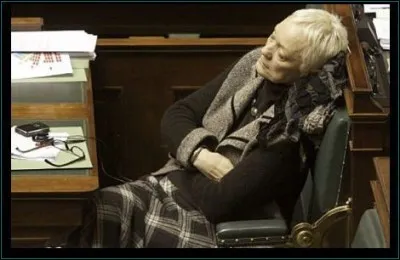 Arbre de la famille des rosacées !