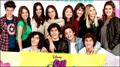 Combien sont-ils dans la série ?