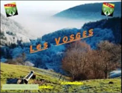 Laquelle de ces stations thermales ne se situe pas dans le département des Vosges ?