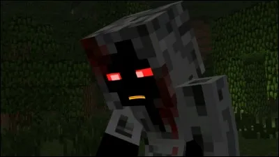 Qu'est-ce que l'entité 303 ?