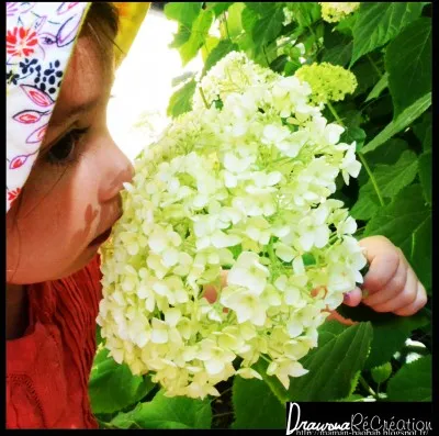 Quelle est ton odeur pr&eacute;f&eacute;r&eacute;e ?