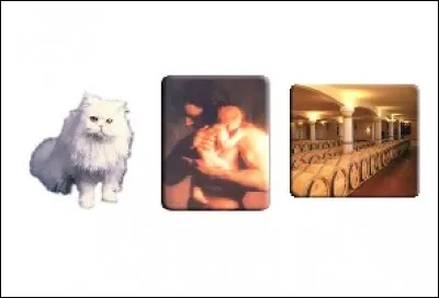 Jeu où un chasseur doit toucher les autres sans que celui-ci soit monté sur un objet.