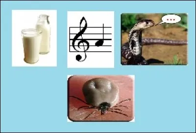 Jeu de filles qui doivent réussir du premier coup la chorégraphie.