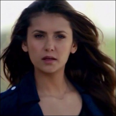 De qui Elena est-elle tombée amoureuse en premier ?