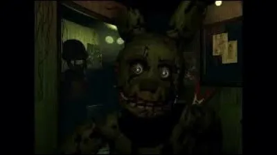 Qui est dans ce costume ?