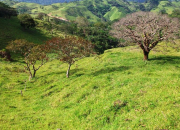 Quiz Costa Rica, le paradis vert