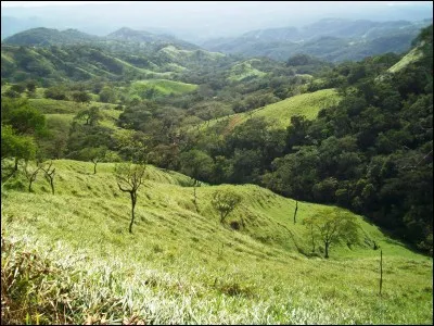 Le "bosque nuboso" est un écosystème de forêts d'altitude abritant une luxuriante végétation et une impressionnante diversité d'oiseaux. Comment traduit-on cet écosystème en français ?