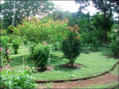 Quelle est l'unité monétaire du Costa Rica ?