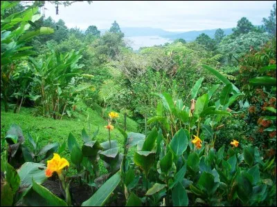 En raison de sa politique pacifique, de son niveau de vie assez élevé pour la région, de ses investissements dans les nouvelles technologies et de son relief montagneux, le Costa Rica est souvent comparé à un pays européen. Lequel ?