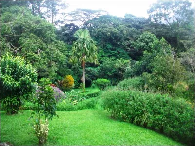 Sur le plan économique, parmi ces propositions, dans quoi le Costa Rica n'a-t-il pas investi ?