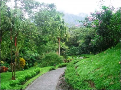 Au Costa Rica, qu'est-ce que le "gallo pinto" ?