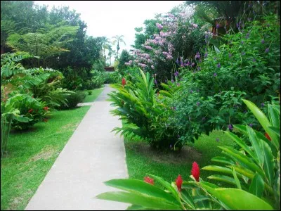 Le quetzal est un oiseau mythique et emblématique des forêts humides costariciennes, mais existe-t-il réellement ?