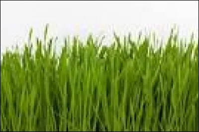 Quel est ton endroit favori ?