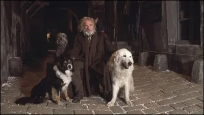 Dans le roman d'Hector Malot "Sans famille", qui est Joli-Coeur ?