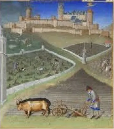 Que vont faire le hâle de mars, la pluie d'avril et la rosée de mai pour les mois à venir ?