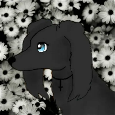 À qui ce logo LPS appartient-il ?