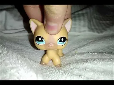 Quelle Youtubeuse a fait son entrée sur la chaîne d'Angel Tm ?